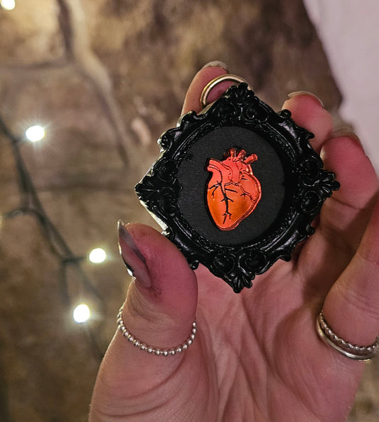 Anatomical heart frame