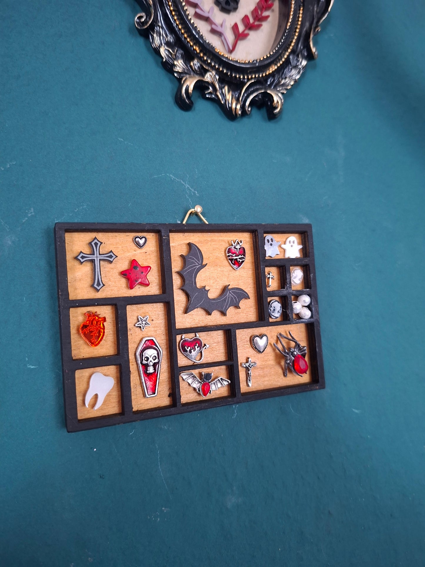 Oddity curiosity frame