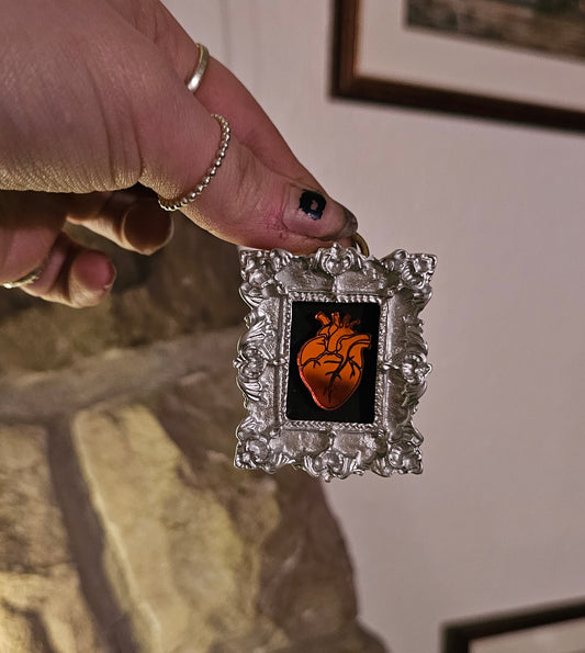 Anatomical heart frame