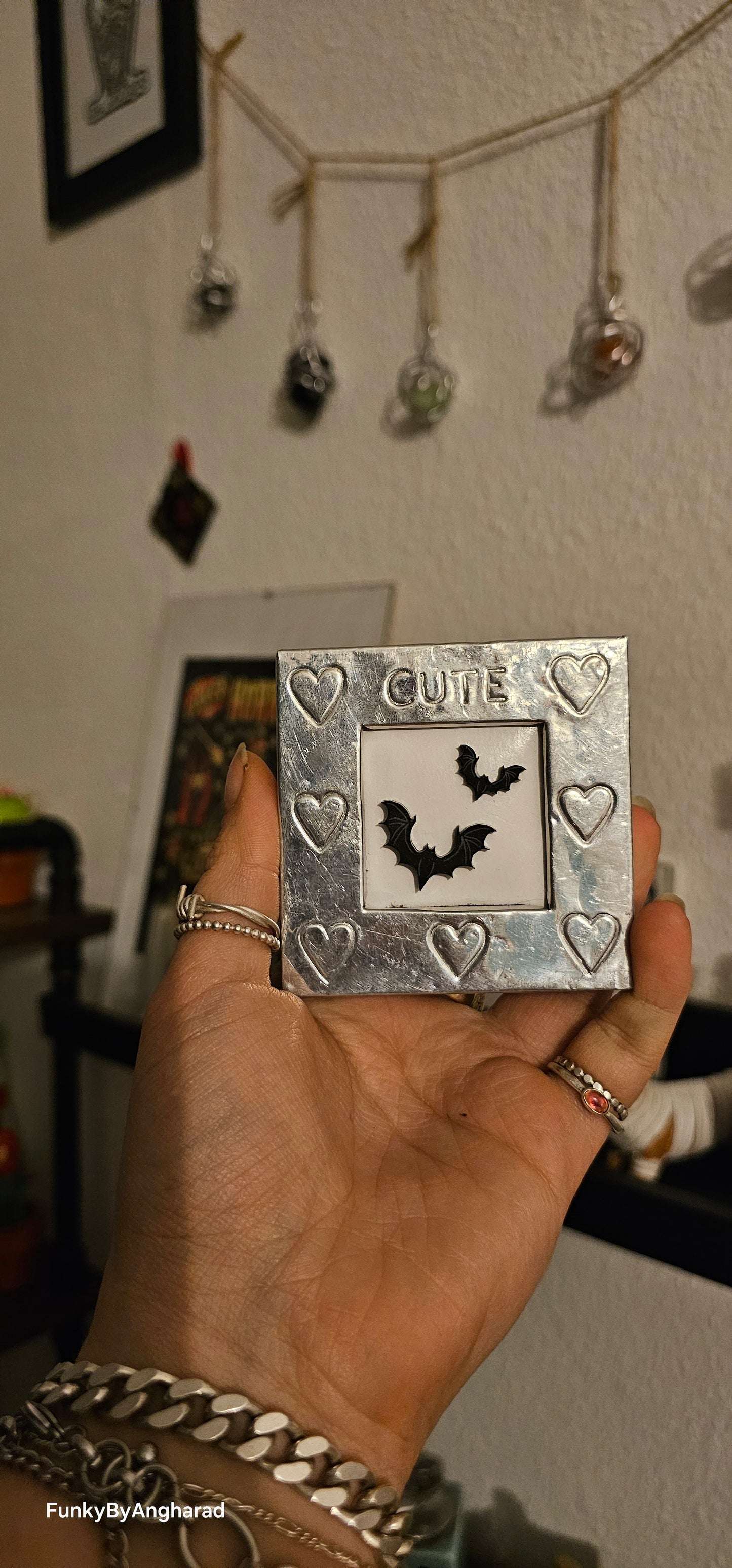Cute flight frame