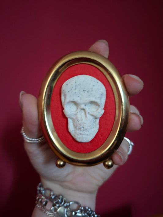 Skull frame
