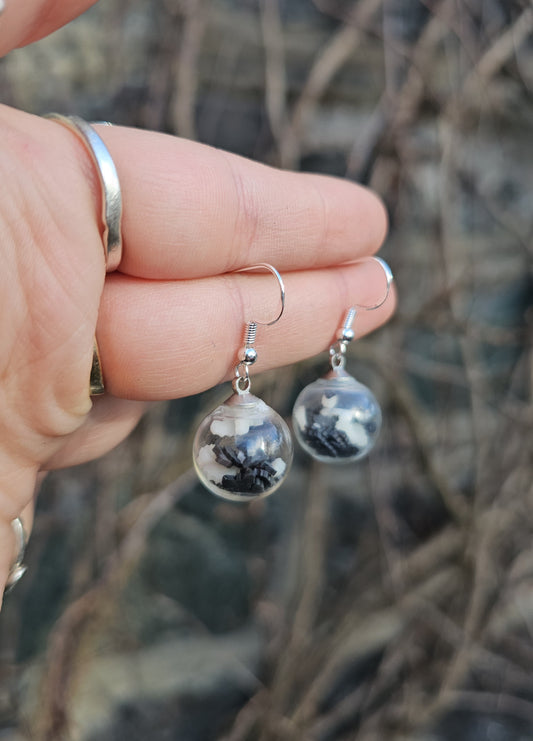 Black and white bats